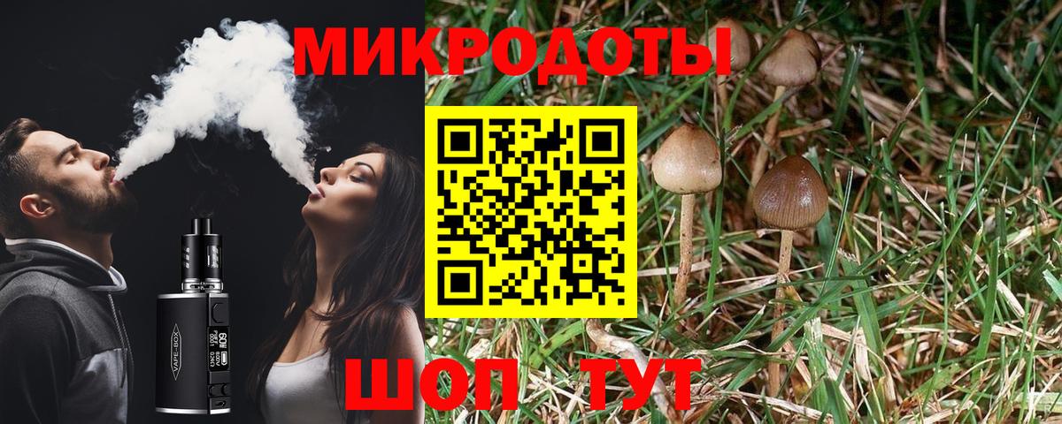Галлюциногенные грибы Cubensis Симферополь